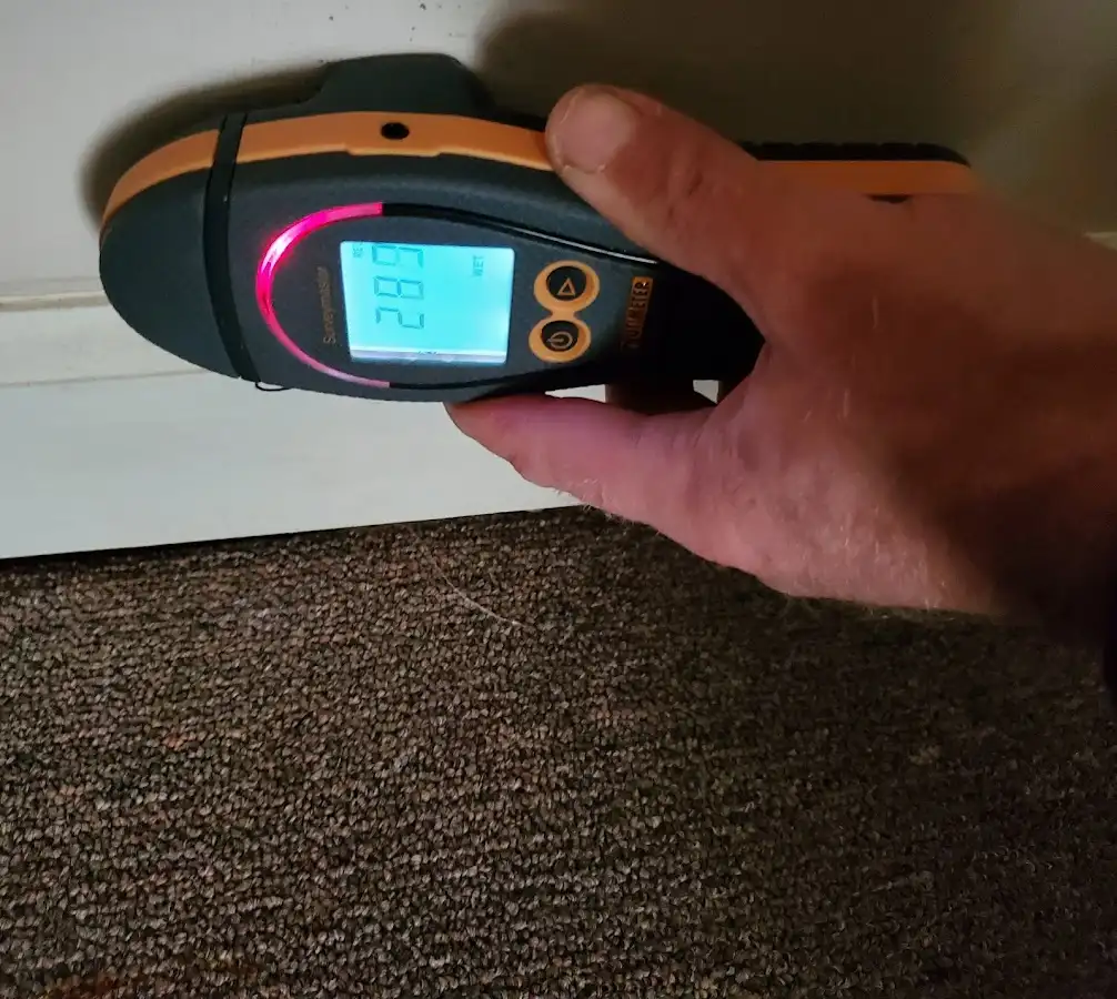 Moisture detection at baseboard during Mold Inspection & Testing in Sidney